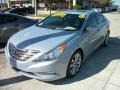 Iridescent Silver Blue Metallic - Sonata SE Photo No. 1