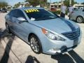 Iridescent Silver Blue Metallic - Sonata SE Photo No. 11