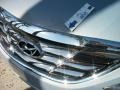Iridescent Silver Blue Metallic - Sonata SE Photo No. 15
