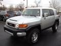 Titanium Metallic - FJ Cruiser 4WD Photo No. 1