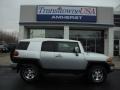 Titanium Metallic - FJ Cruiser 4WD Photo No. 5
