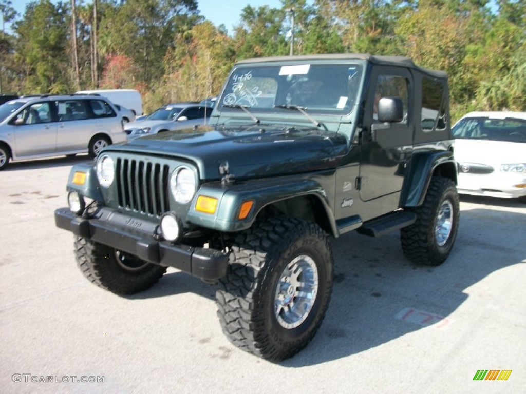 2004 Wrangler Sahara 4x4 - Shale Green Metallic / Khaki photo #1