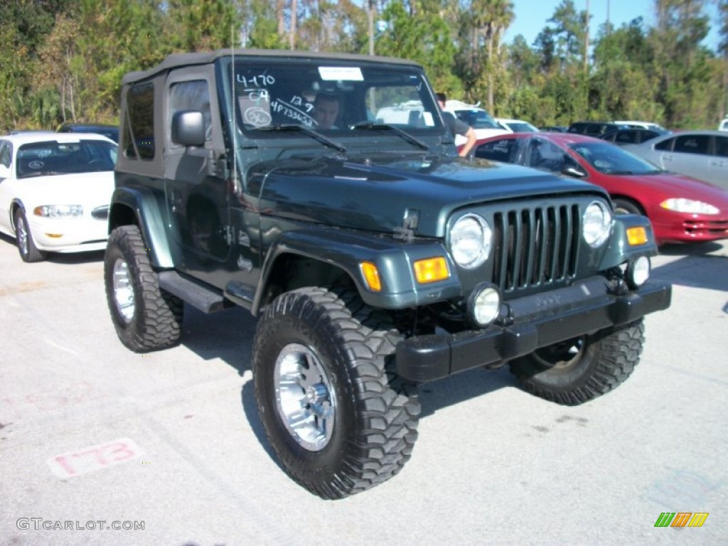 2004 Wrangler Sahara 4x4 - Shale Green Metallic / Khaki photo #4