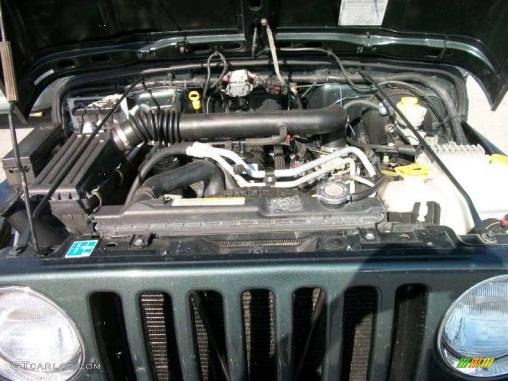 2004 Wrangler Sahara 4x4 - Shale Green Metallic / Khaki photo #6