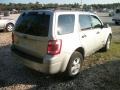 Silver Metallic - Escape XLT Photo No. 4