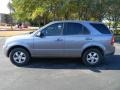 2008 Alpine Gray Kia Sorento LX  photo #2