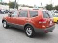 2009 Copperhead Kia Borrego EX V6  photo #5