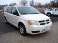 Stone White - Grand Caravan SE Photo No. 5