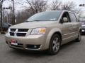 2009 Light Sandstone Metallic Dodge Grand Caravan SXT  photo #5