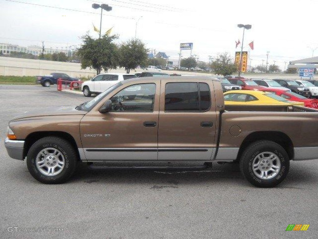 2001 Dakota SLT Quad Cab - Medium Bronze Pearl / Taupe photo #4