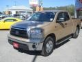 2010 Sandy Beach Metallic Toyota Tundra SR5 Double Cab 4x4  photo #4