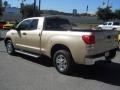 2010 Sandy Beach Metallic Toyota Tundra SR5 Double Cab 4x4  photo #6