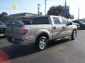 Pueblo Gold Metallic - F150 XLT SuperCrew Photo No. 5