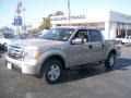 Pueblo Gold Metallic - F150 XLT SuperCrew Photo No. 8