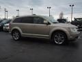 2009 Light Sandstone Metallic Dodge Journey R/T  photo #2