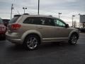 2009 Light Sandstone Metallic Dodge Journey R/T  photo #3