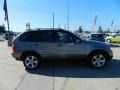 Stratus Grey Metallic - X5 4.4i Photo No. 4