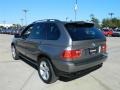 Stratus Grey Metallic - X5 4.4i Photo No. 7