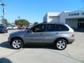 Stratus Grey Metallic - X5 4.4i Photo No. 8