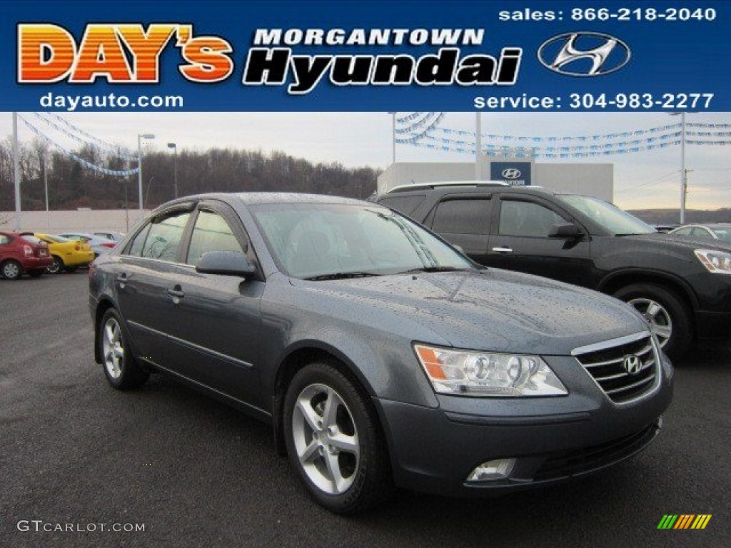 2009 Sonata SE - Willow Gray / Gray photo #1