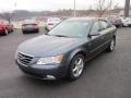 2009 Willow Gray Hyundai Sonata SE  photo #3