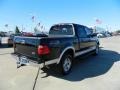 2002 Black Ford F150 XLT SuperCrew 4x4  photo #5