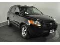 Ebony Black - Santa Fe GLS 4WD Photo No. 7