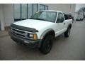 White - S10 LS Regular Cab 4x4 Photo No. 3