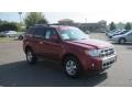 2010 Sangria Red Metallic Ford Escape Limited V6  photo #7
