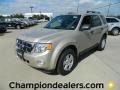 2012 Gold Leaf Metallic Ford Escape XLT  photo #1