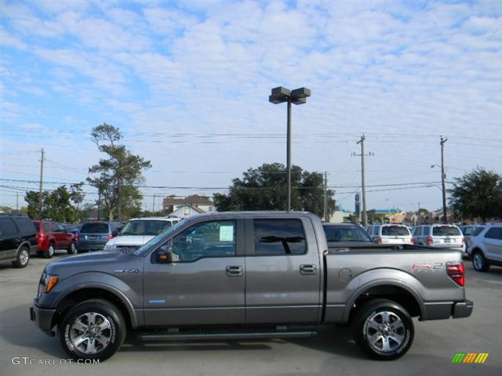 Sterling Gray Metallic 2012 Ford F150 FX2 SuperCrew Exterior Photo #58149929