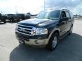 2012 Black Ford Expedition XLT  photo #2
