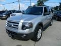 Ingot Silver Metallic 2012 Ford Expedition Gallery