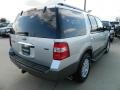 Ingot Silver Metallic - Expedition XLT Sport Photo No. 6