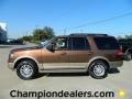 Golden Bronze Metallic - Expedition XLT Photo No. 1