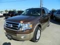 Golden Bronze Metallic - Expedition XLT Photo No. 2