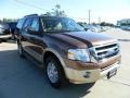 Golden Bronze Metallic - Expedition XLT Photo No. 4