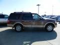 Golden Bronze Metallic - Expedition XLT Photo No. 5