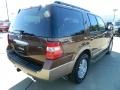 Golden Bronze Metallic - Expedition XLT Photo No. 6