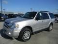 Ingot Silver Metallic - Expedition XLT Photo No. 8