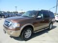 Golden Bronze Metallic - Expedition XLT Photo No. 8