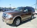 2012 Golden Bronze Metallic Ford Expedition XLT  photo #8