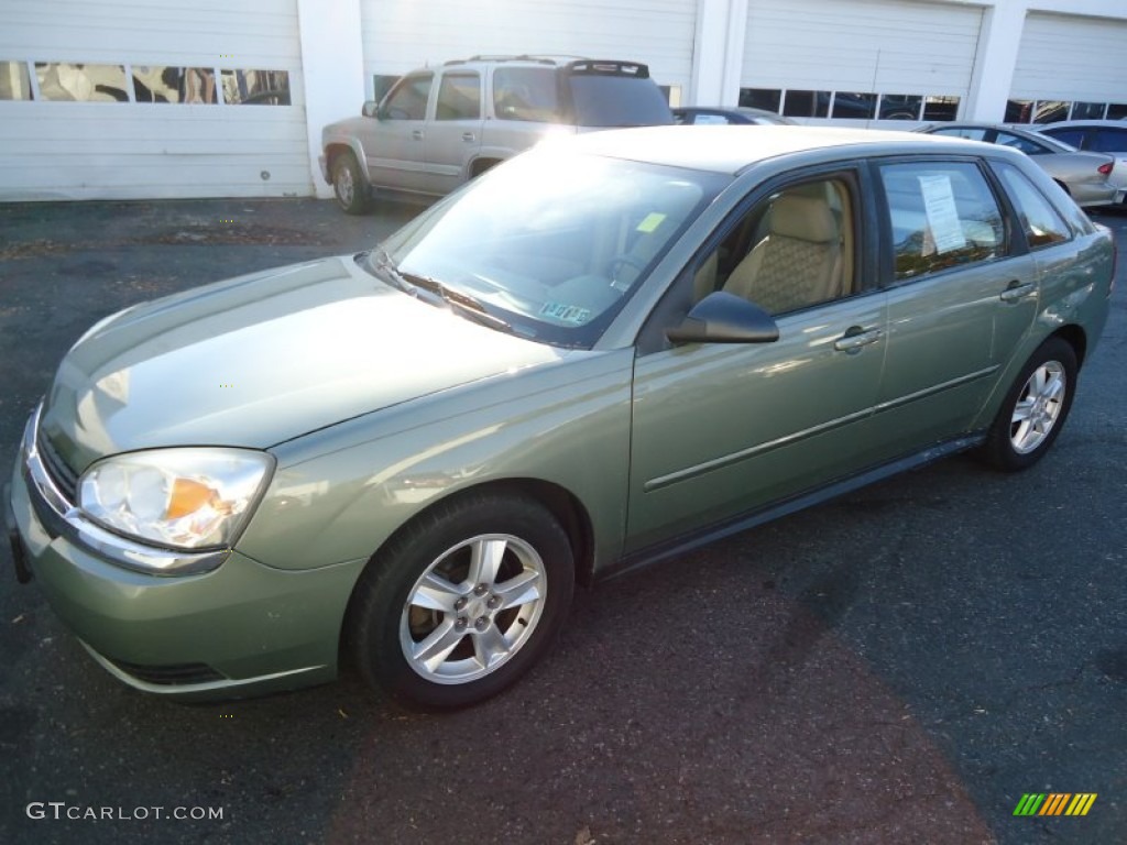 Silver Green Metallic 2004 Chevrolet Malibu Maxx LS Wagon Exterior Photo #58152932