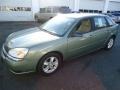 Silver Green Metallic 2004 Chevrolet Malibu Maxx LS Wagon Exterior