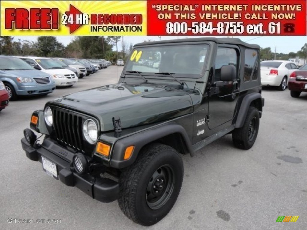 2004 Wrangler X 4x4 - Shale Green Metallic / Camouflage photo #1