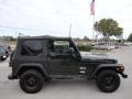 Shale Green Metallic - Wrangler X 4x4 Photo No. 9