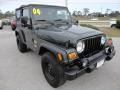 Shale Green Metallic - Wrangler X 4x4 Photo No. 10