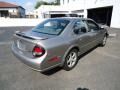 Sterling Mist Metallic - Maxima SE Photo No. 5