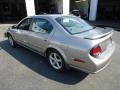 Sterling Mist Metallic - Maxima SE Photo No. 7