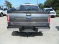 2011 Sterling Grey Metallic Ford F150 XLT SuperCrew  photo #4